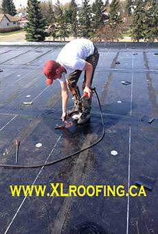 flat roof repairs